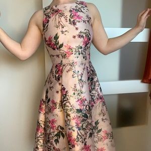 NWT Ted Baker London Size 1